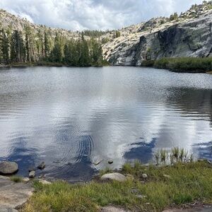 Meet your Posher, Emma